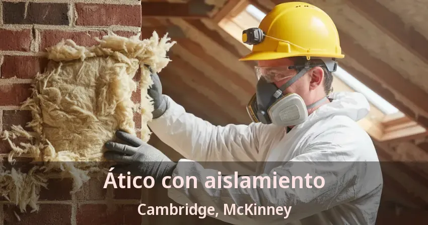 Ático con aislamiento Cambridge, McKinney - TX