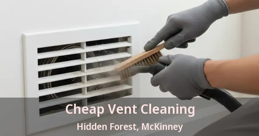 Cheap Vent Cleaning Hidden Forest, McKinney - TX