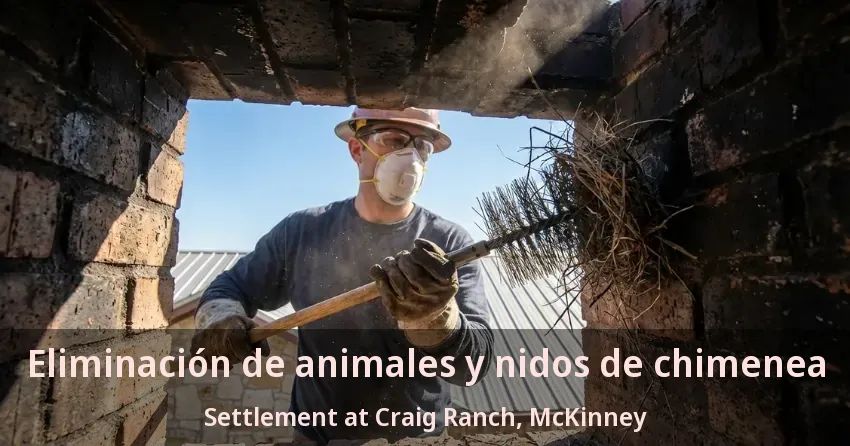 Eliminación de animales y nidos de chimenea Settlement at Craig Ranch, McKinney - TX Eliminación de animales y nidos de chimenea Settlement at Craig Ranch, McKinney - TX
