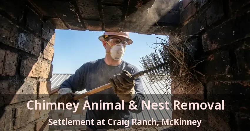 Chimney Animal & Nest Removal Settlement at Craig Ranch, McKinney - TX