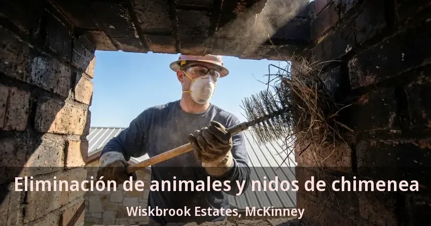 Eliminación de animales y nidos de chimenea Wiskbrook Estates, McKinney - TX