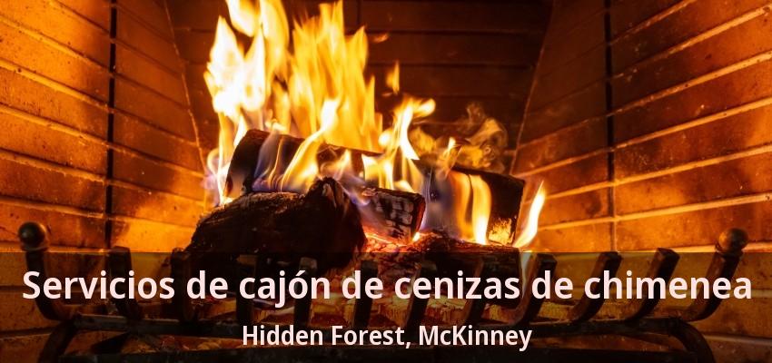 Servicios de cajón de cenizas de chimenea Hidden Forest, McKinney - TX