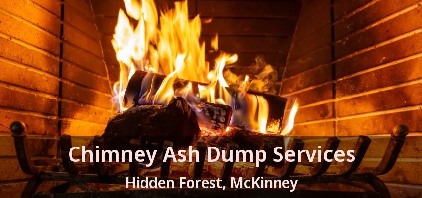 Chimney Ash Dump Services Hidden Forest, McKinney - TX