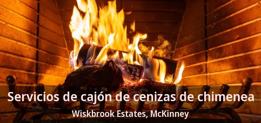 Servicios de cajón de cenizas de chimenea Wiskbrook Estates, McKinney - TX