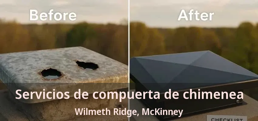 Servicios de compuerta de chimenea Wilmeth Ridge, McKinney - TX