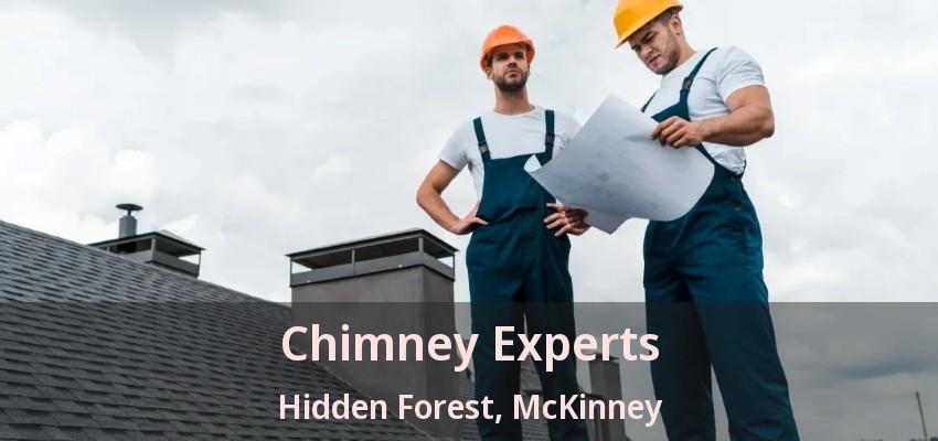Chimney Experts Hidden Forest, McKinney - TX