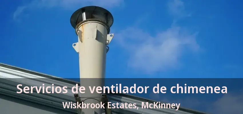 Servicios de ventilador de chimenea Wiskbrook Estates, McKinney - TX
