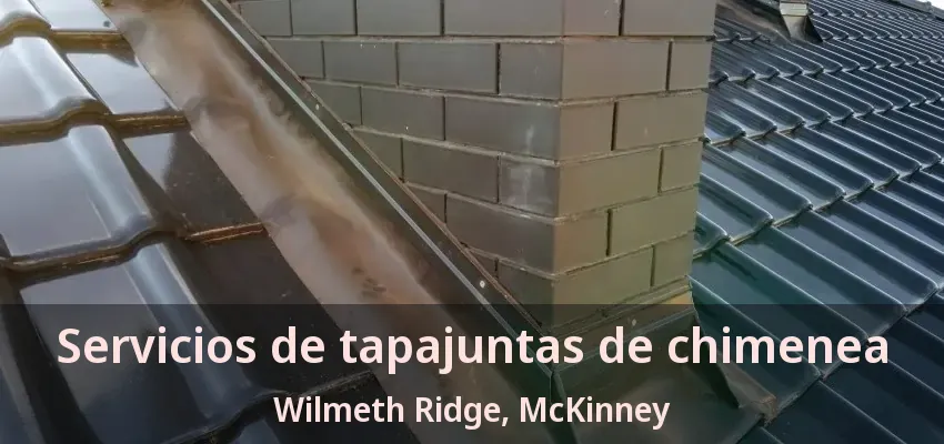 Servicios de tapajuntas de chimenea Wilmeth Ridge, McKinney - TX Servicios de tapajuntas de chimenea Wilmeth Ridge, McKinney - TX