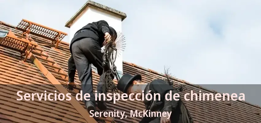 Servicios de inspección de chimenea Serenity, McKinney - TX