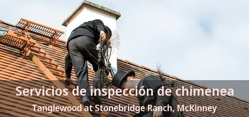 Servicios de inspección de chimenea Tanglewood at Stonebridge Ranch, McKinney - TX
