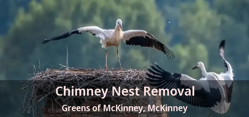 Chimney Nest Removal Greens of McKinney, McKinney - TX Chimney Nest Removal Greens of McKinney, McKinney - TX