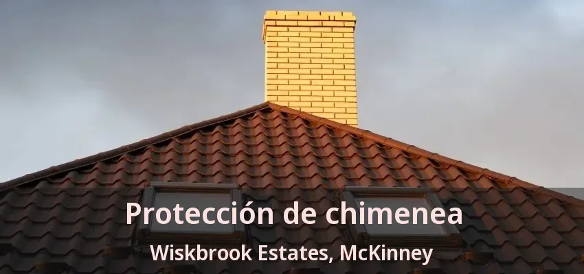 Protección de chimenea Wiskbrook Estates, McKinney - TX Protección de chimenea Wiskbrook Estates, McKinney - TX