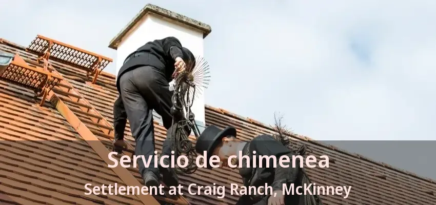 Servicio de chimenea Settlement at Craig Ranch, McKinney - TX