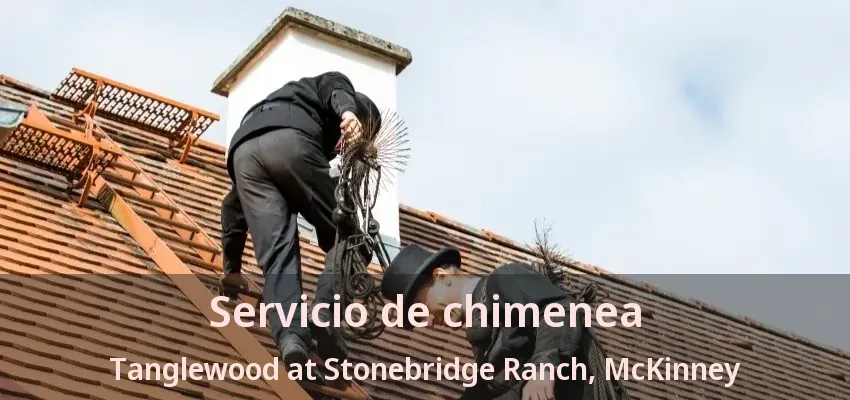 Servicio de chimenea Tanglewood at Stonebridge Ranch, McKinney - TX Servicio de chimenea Tanglewood at Stonebridge Ranch, McKinney - TX