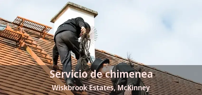Servicio de chimenea Wiskbrook Estates, McKinney - TX