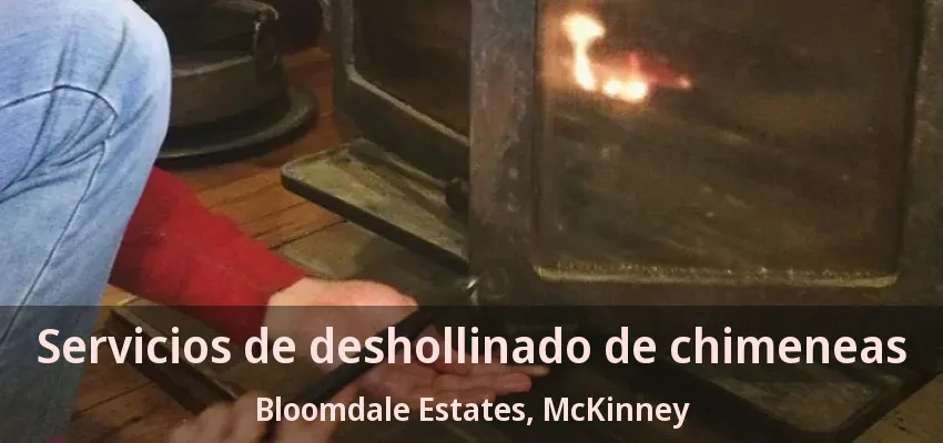 Servicios de deshollinado de chimeneas Bloomdale Estates, McKinney - TX