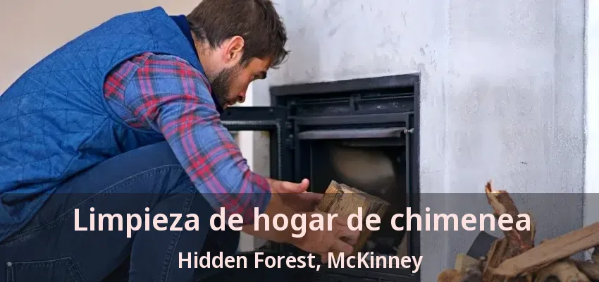 Limpieza de hogar de chimenea Hidden Forest, McKinney - TX