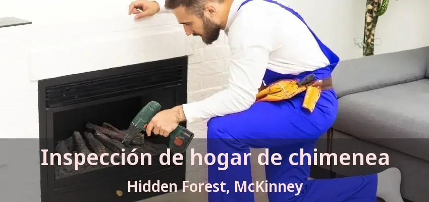 Inspección de hogar de chimenea Hidden Forest, McKinney - TX