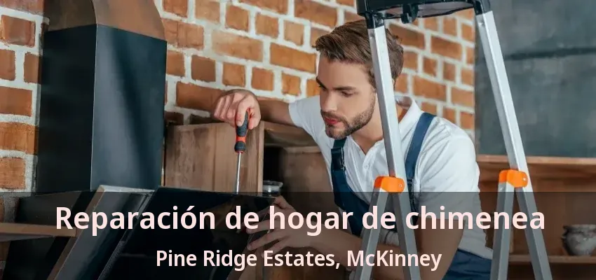 Reparación de hogar de chimenea Pine Ridge Estates, McKinney - TX