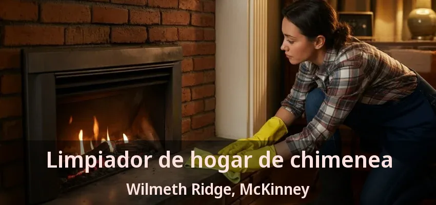 Limpiador de hogar de chimenea Wilmeth Ridge, McKinney - TX Limpiador de hogar de chimenea Wilmeth Ridge, McKinney - TX