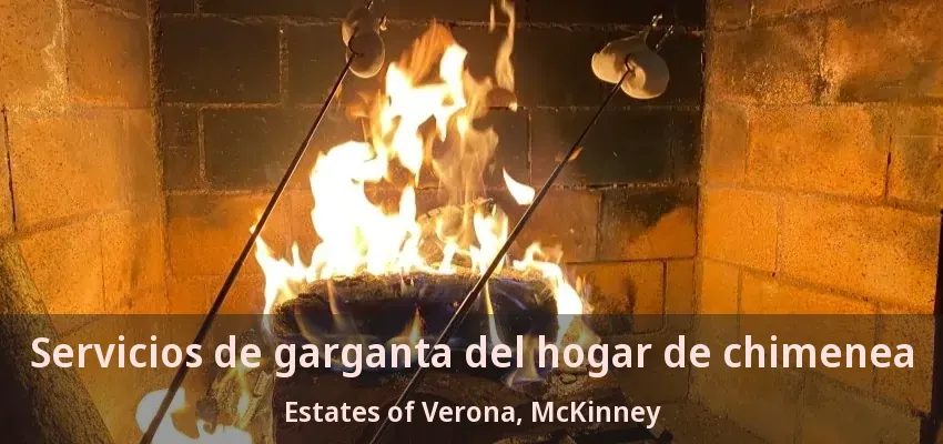Servicios de garganta del hogar de chimenea Estates of Verona, McKinney - TX