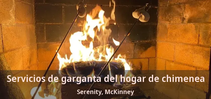 Servicios de garganta del hogar de chimenea Serenity, McKinney - TX Servicios de garganta del hogar de chimenea Serenity, McKinney - TX