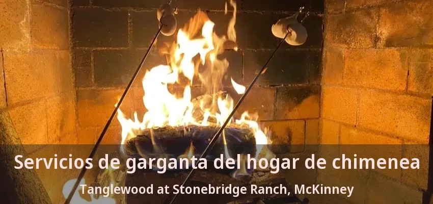 Servicios de garganta del hogar de chimenea Tanglewood at Stonebridge Ranch, McKinney - TX