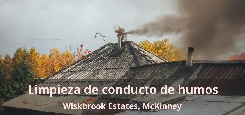 Limpieza de conducto de humos Wiskbrook Estates, McKinney - TX
