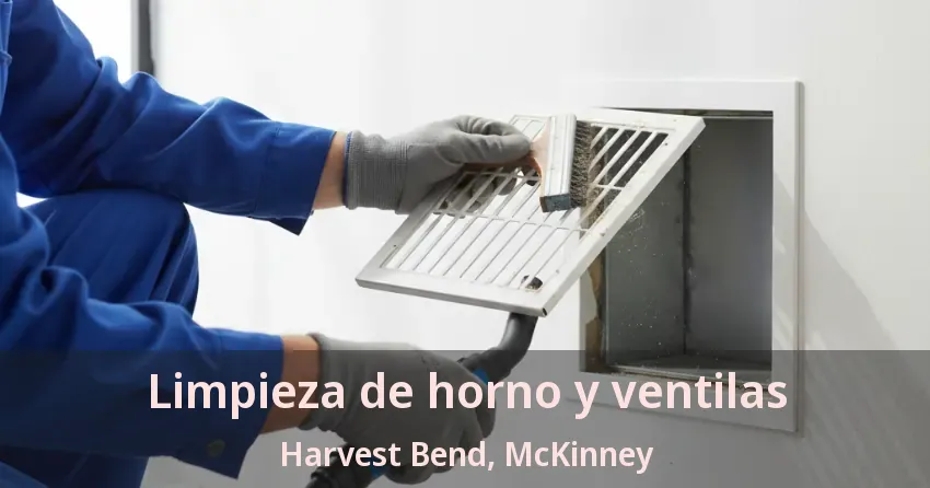 Limpieza de horno y ventilas Harvest Bend, McKinney - TX