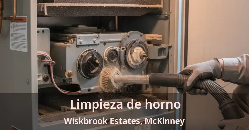 Limpieza de horno Wiskbrook Estates, McKinney - TX