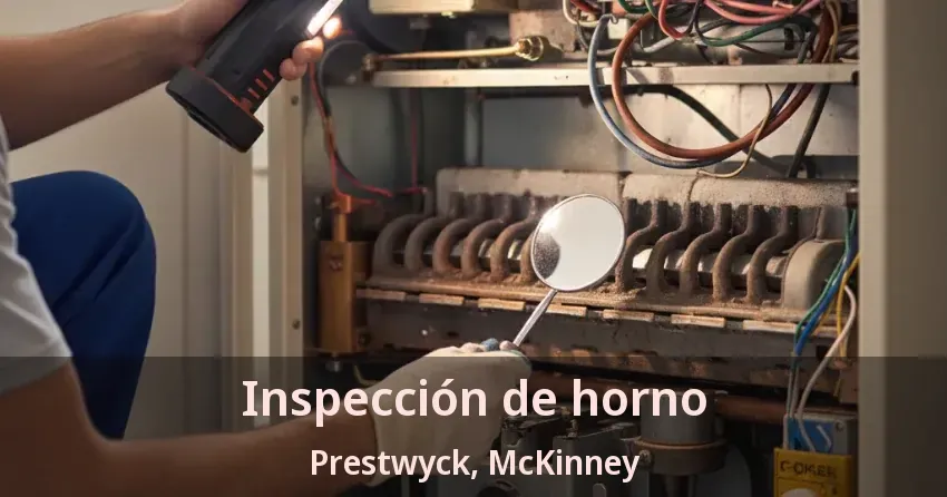Inspección de horno Prestwyck, McKinney - TX