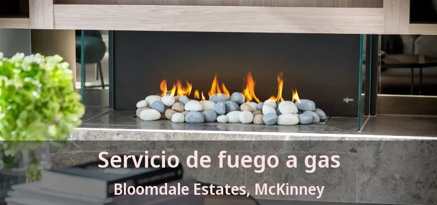 Servicio de fuego a gas Bloomdale Estates, McKinney - TX Servicio de fuego a gas Bloomdale Estates, McKinney - TX