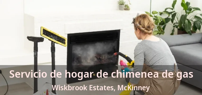 Servicio de hogar de chimenea de gas Wiskbrook Estates, McKinney - TX Servicio de hogar de chimenea de gas Wiskbrook Estates, McKinney - TX