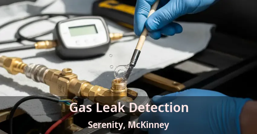 Gas Leak Detection Serenity, McKinney - TX Gas Leak Detection Serenity, McKinney - TX