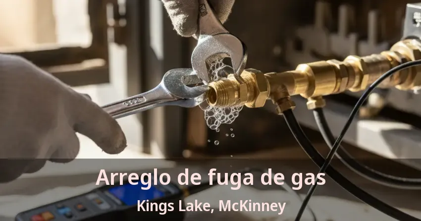 Arreglo de fuga de gas Kings Lake, McKinney - TX