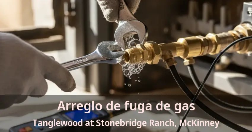 Arreglo de fuga de gas Tanglewood at Stonebridge Ranch, McKinney - TX Arreglo de fuga de gas Tanglewood at Stonebridge Ranch, McKinney - TX