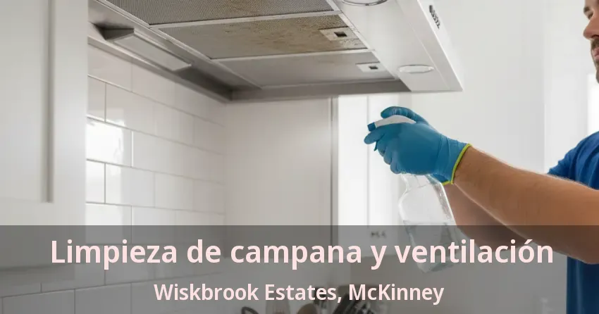 Limpieza de campana y ventilación Wiskbrook Estates, McKinney - TX