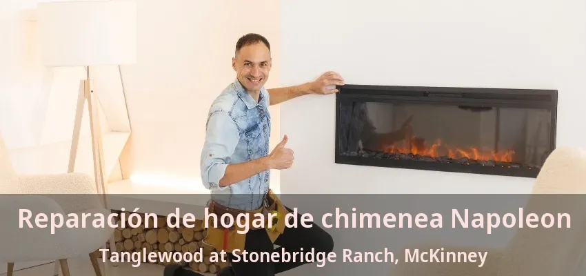 Reparación de hogar de chimenea Napoleon Tanglewood at Stonebridge Ranch, McKinney - TX