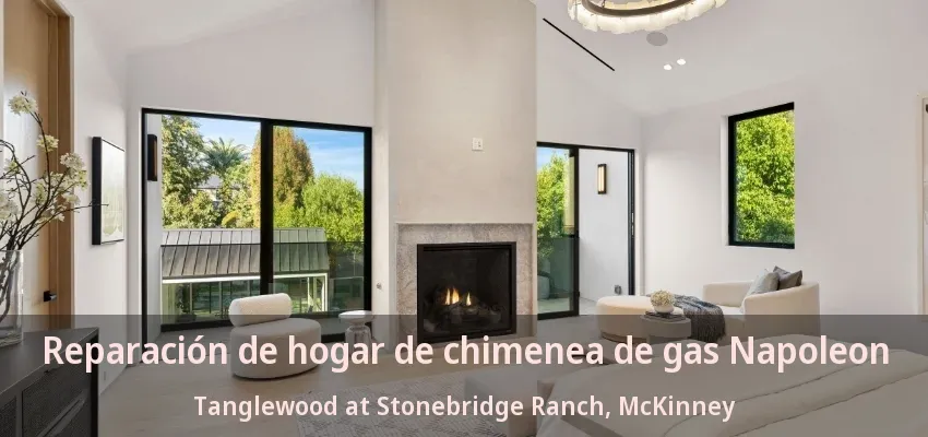 Reparación de hogar de chimenea de gas Napoleon Tanglewood at Stonebridge Ranch, McKinney - TX