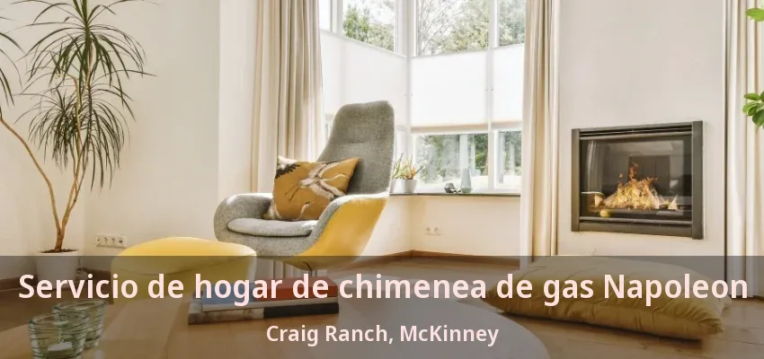 Servicio de hogar de chimenea de gas Napoleon Craig Ranch, McKinney - TX Servicio de hogar de chimenea de gas Napoleon Craig Ranch, McKinney - TX