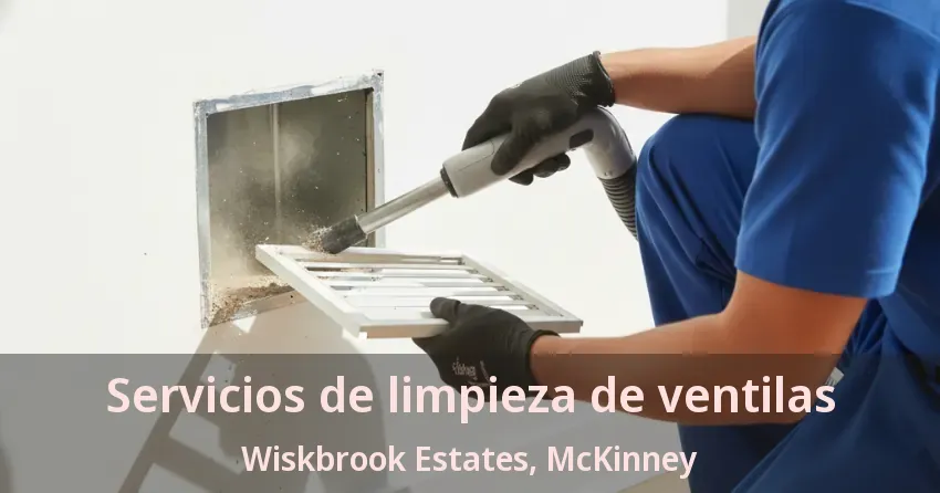 Servicios de limpieza de ventilas Wiskbrook Estates, McKinney - TX